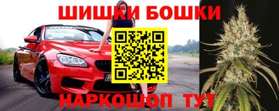 apvp Партизанск