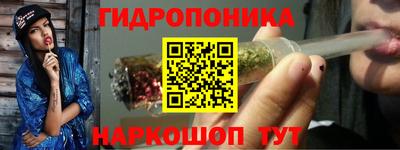 молекула духа Пенза